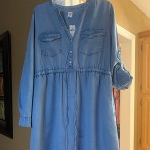 Denim Maternity Dress